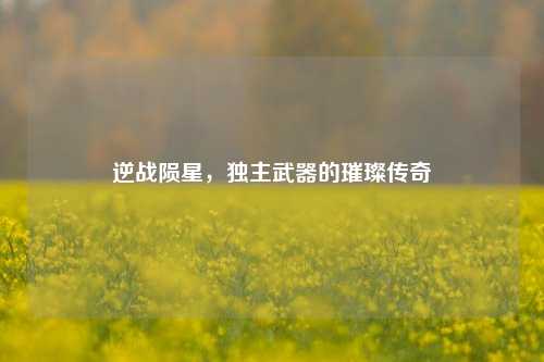 逆战陨星，独主武器的璀璨传奇