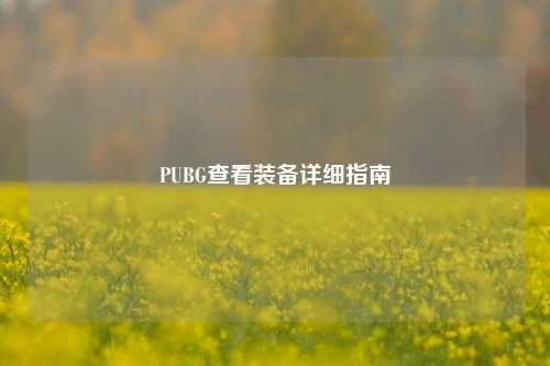 PUBG查看装备详细指南