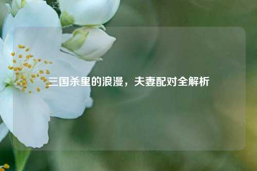 三国杀里的浪漫，夫妻配对全解析