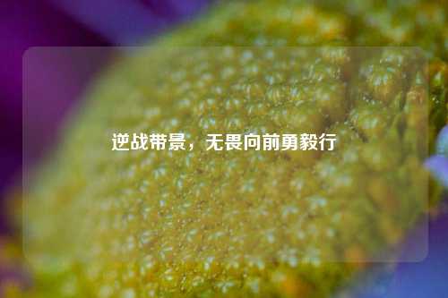 逆战带景，无畏向前勇毅行