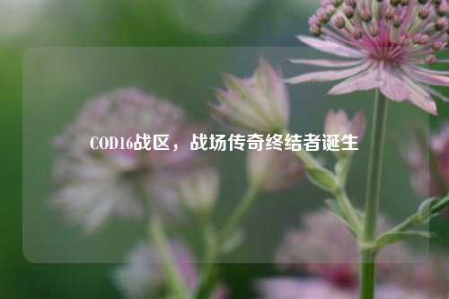 COD16战区，战场传奇终结者诞生
