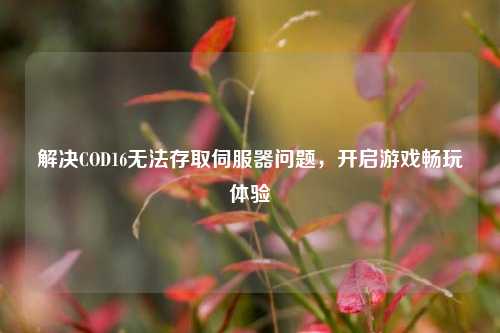 解决COD16无法存取伺服器问题,开启游戏畅玩体验