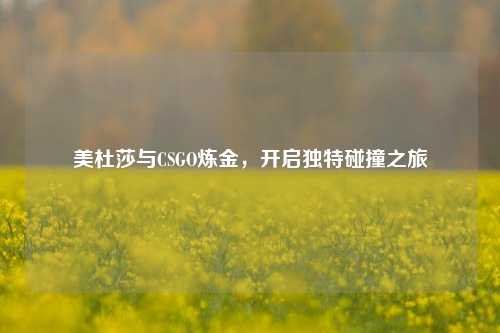 美杜莎与CSGO炼金,开启独特碰撞之旅