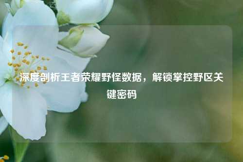 深度剖析王者荣耀野怪数据，解锁掌控野区关键密码