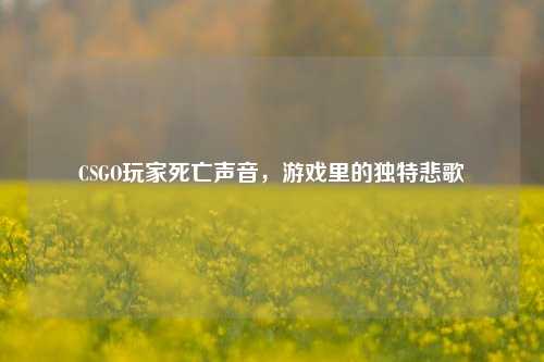 CSGO玩家死亡声音，游戏里的独特悲歌
