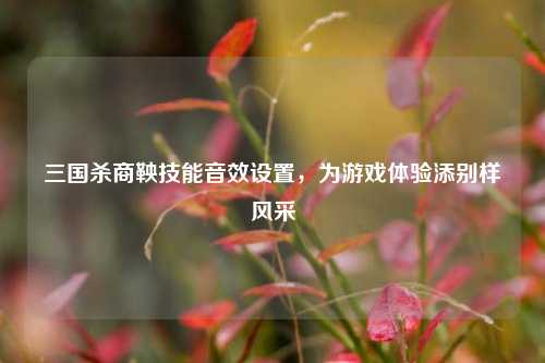 三国杀商鞅技能音效设置，为游戏体验添别样风采