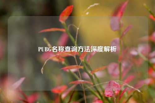 PUBG名称查询方法深度解析