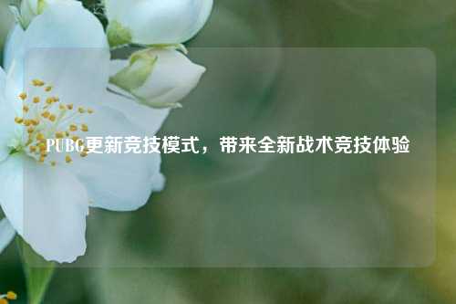 PUBG更新竞技模式，带来全新战术竞技体验