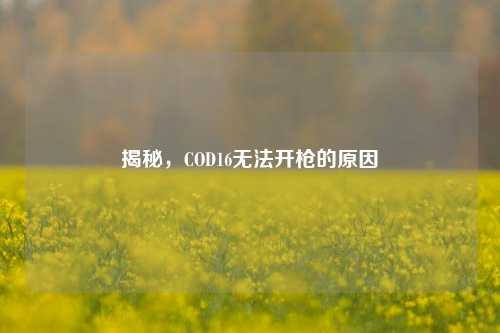 揭秘，COD16无法开枪的原因