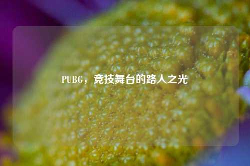 PUBG，竞技舞台的路人之光