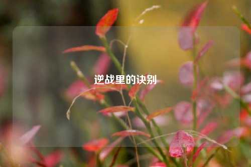 逆战里的诀别