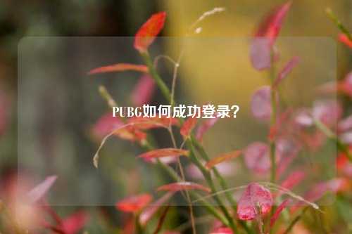 PUBG如何成功登录? PUBG如何成功登录?