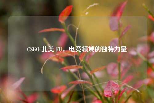 CSGO 北美 FU，电竞领域的独特力量
