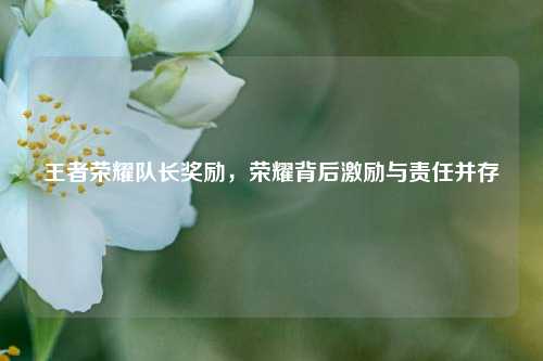 王者荣耀队长奖励,荣耀背后激励与责任并存 王者荣耀队长奖励,荣耀背后激励与责任并存