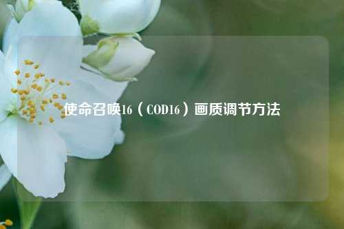 使命召唤16（COD16）画质调节方法