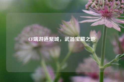 CF端游道聚城，武器宝藏之地