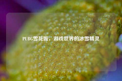 PUBG雪花姬,游戏世界的冰雪精灵 PUBG雪花姬,游戏世界的冰雪精灵
