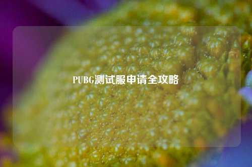 PUBG测试服申请全攻略 PUBG测试服申请全攻略