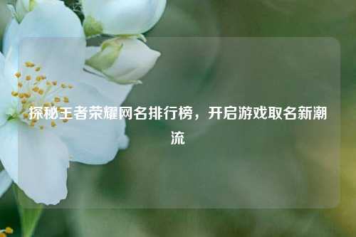 探秘王者荣耀网名排行榜,开启游戏取名新潮流 探秘王者荣耀网名排行榜,开启游戏取名新潮流