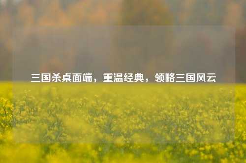 三国杀桌面端，重温经典，领略三国风云