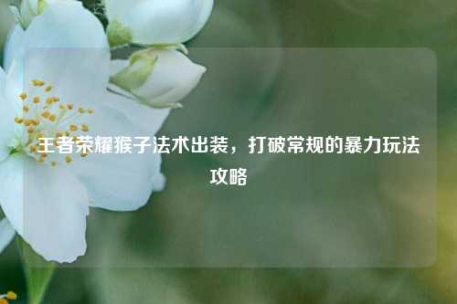 王者荣耀猴子法术出装，打破常规的暴力玩法攻略