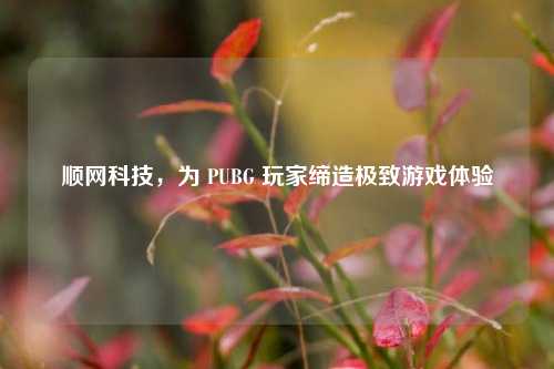 顺网科技,为 PUBG 玩家缔造极致游戏体验 顺网科技,为 PUBG 玩家缔造极致游戏体验