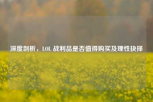 深度剖析,LOL 战利品是否值得购买及理性抉择