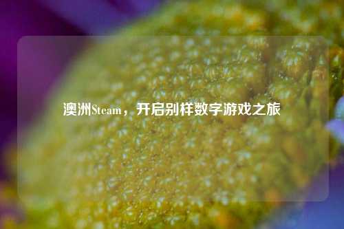 澳洲Steam，开启别样数字游戏之旅