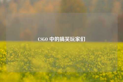 CSGO 中的搞笑玩家们 CSGO 中的搞笑玩家们