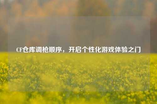 CF仓库调枪顺序,开启个性化游戏体验之门 CF仓库调枪顺序,开启个性化游戏体验之门