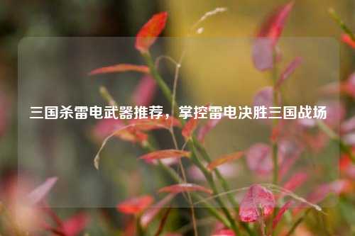 三国杀雷电武器推荐,掌控雷电决胜三国战场 三国杀雷电武器推荐,掌控雷电决胜三国战场