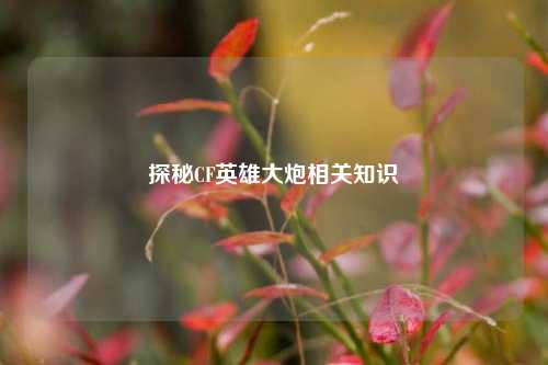 探秘CF英雄大炮相关知识 探秘CF英雄大炮相关知识