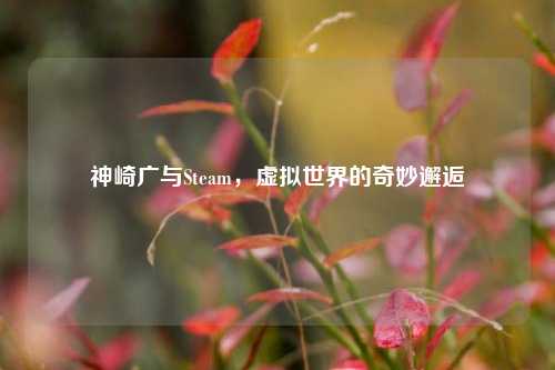 神崎广与Steam,虚拟世界的奇妙邂逅 神崎广与Steam,虚拟世界的奇妙邂逅