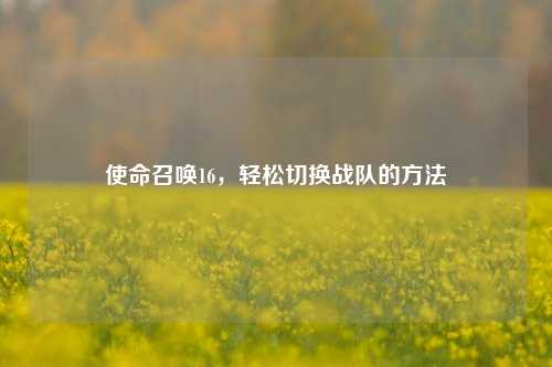 使命召唤16，轻松切换战队的方法