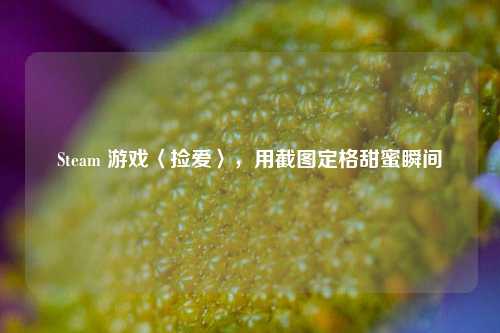Steam 游戏〈捡爱〉,用截图定格甜蜜瞬间 Steam 游戏〈捡爱〉,用截图定格甜蜜瞬间