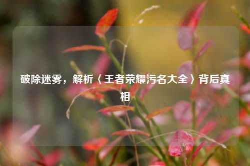 破除迷雾，解析〈王者荣耀污名大全〉背后真相