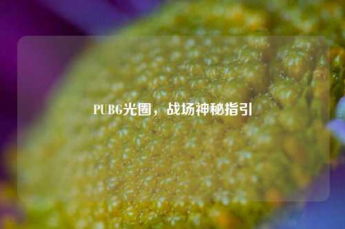 PUBG光圈,战场神秘指引 PUBG光圈,战场神秘指引