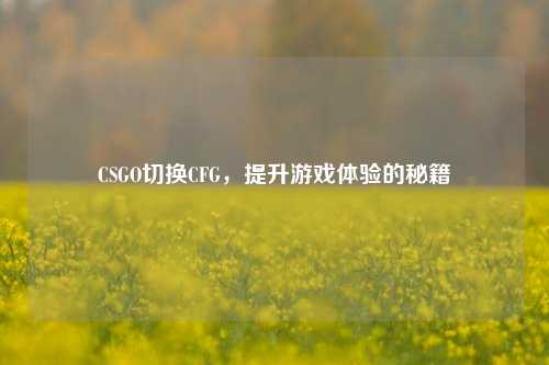 CSGO切换CFG,提升游戏体验的秘籍