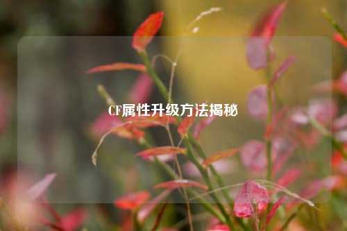 CF属性升级方法揭秘