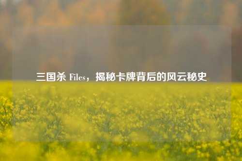 三国杀 Files,揭秘卡牌背后的风云秘史 三国杀 Files,揭秘卡牌背后的风云秘史
