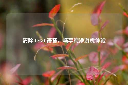 清除 CSGO 语音,畅享纯净游戏体验 清除 CSGO 语音,畅享纯净游戏体验