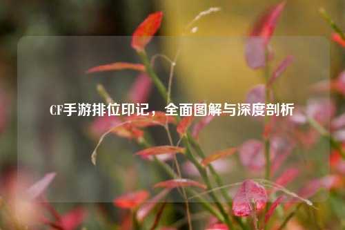 CF手游排位印记，全面图解与深度剖析