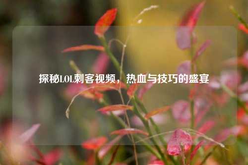 探秘LOL刺客视频，热血与技巧的盛宴