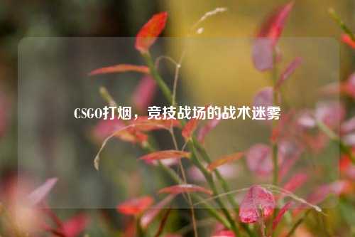 CSGO打烟,竞技战场的战术迷雾 CSGO打烟,竞技战场的战术迷雾