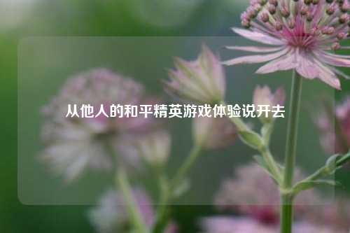从他人的和平精英游戏体验说开去
