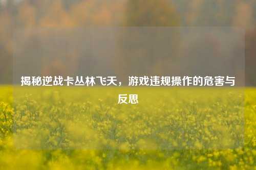 揭秘逆战卡丛林飞天，游戏违规操作的危害与反思