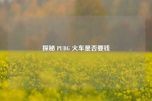 探秘 PUBG 火车是否要钱 探秘 PUBG 火车是否要钱