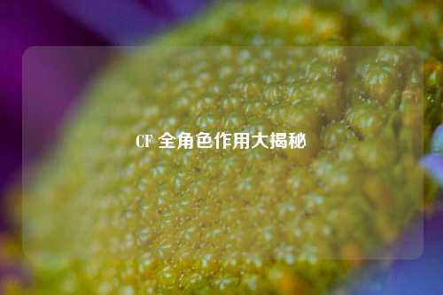 CF 全角色作用大揭秘 CF 全角色作用大揭秘