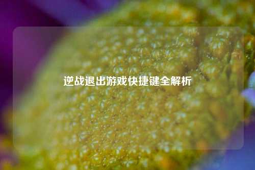 逆战退出游戏快捷键全解析 逆战退出游戏快捷键全解析