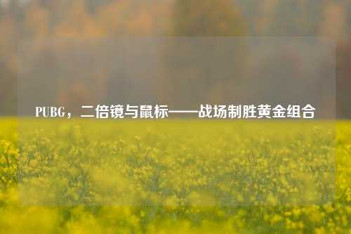 PUBG,二倍镜与鼠标——战场制胜黄金组合 PUBG,二倍镜与鼠标——战场制胜黄金组合